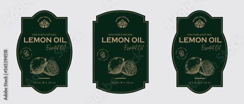Lemon oil label design cosmetic products for skin care and beauty, herbal ingredients. Labels with sketches, package emblem. Green gold premium vector illustration