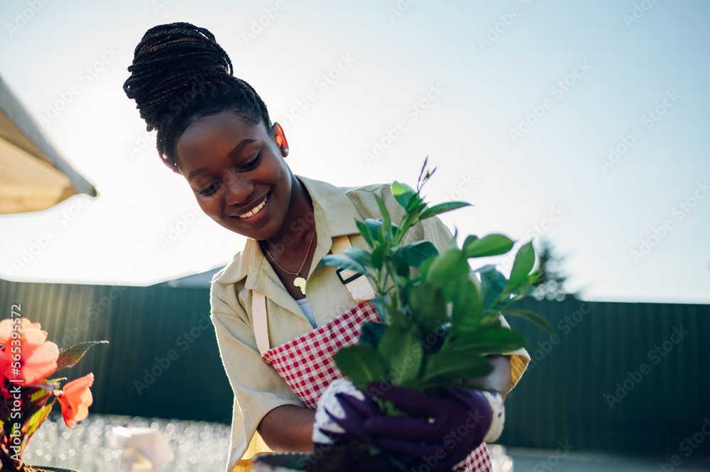African american woman transplanting pot plants while working in a greenhouse African american woman transplanting pot plants while working in a greenhouse