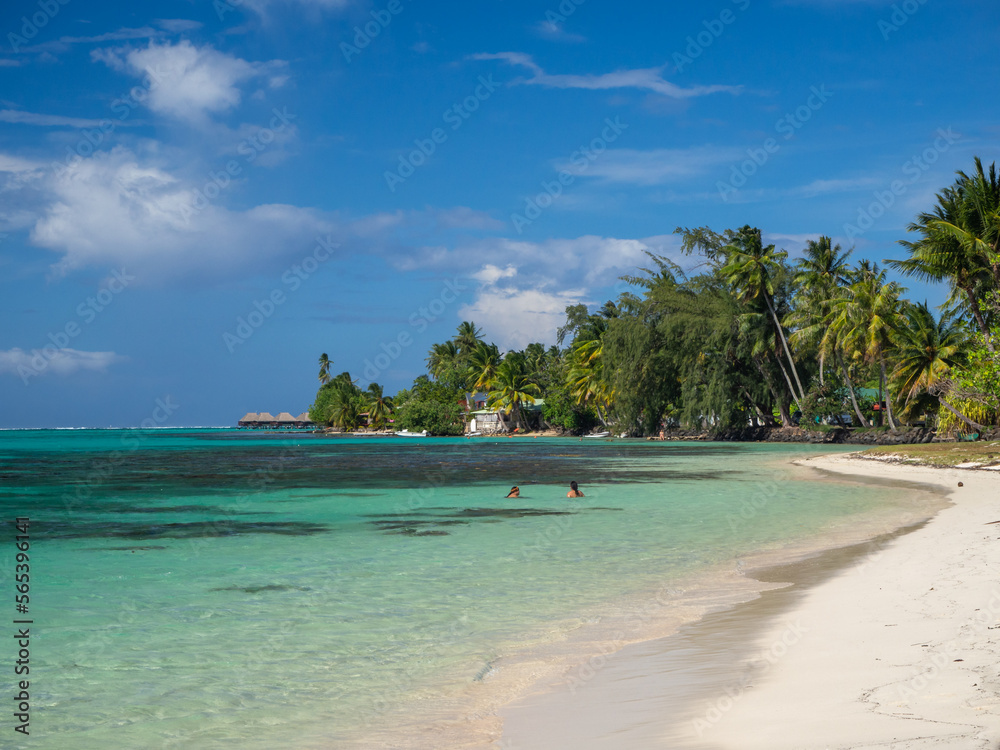 Tahiti island palm beach, French Polynesia Tahiti island palm beach, French Polynesia