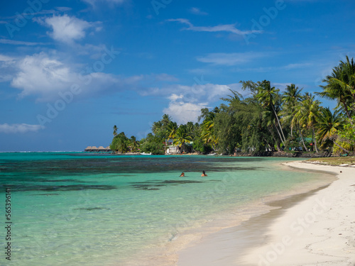 Tahiti island palm beach, French Polynesia © jzajic