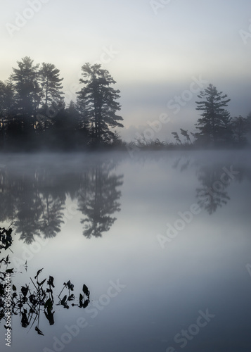 A misty dawn on a secluded Northwoods lake. Oneida County, WI.