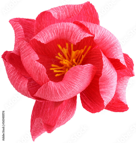 Isolated single paper flower peony made from crepe paper