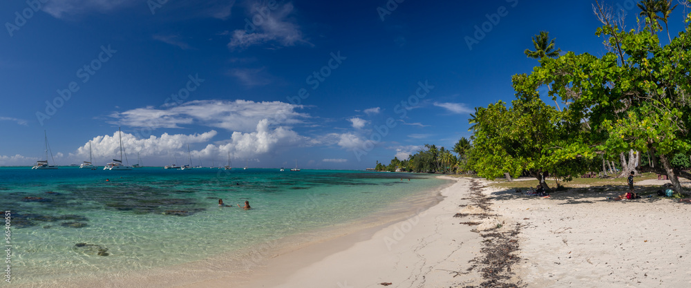 Tahiti island palm beach, French Polynesia Tahiti island palm beach, French Polynesia