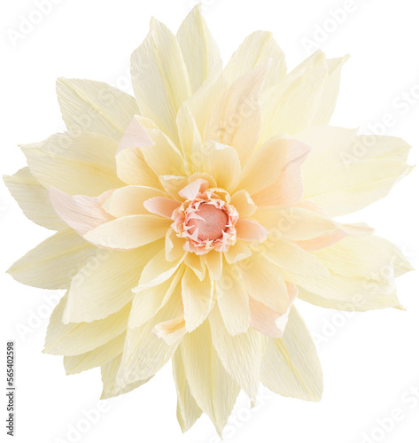 Isolated single paper flower dahlia made from crepe paper