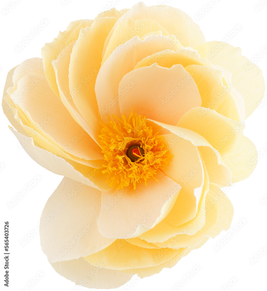 Isolated single paper flower peony made from crepe paper - obrazy, fototapety, plakaty 