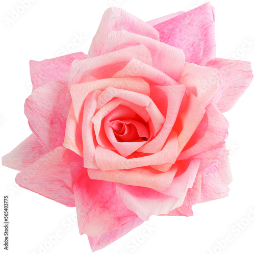 Isolated single paper flower rose made from crepe paper