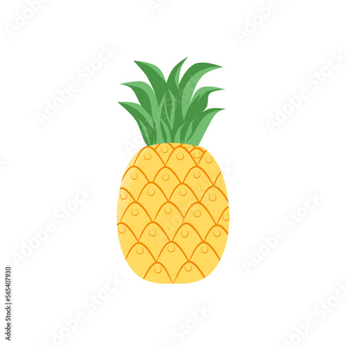 pineapple tropical fruit icon vector 