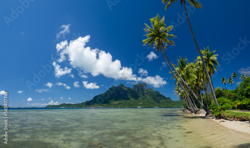 Fototapeta Naklejka Na Ścianę i Meble -  Tahiti island nature landscape, French Polynesia
