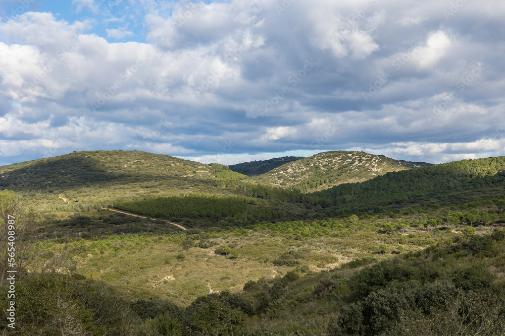 Paysage du massif de la Gardiole, sur le littoral méditerranéen à Frontignan