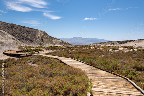 Salt Creek Interpretive Trail in Death Valley NP