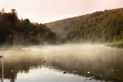 Silent beautiful morning summer landscape - mist on river with warm golden fluffy haze on water with reflection, lush green forest on slopes in pink sunrise sunbeams. Majestic wild nature for travel. © finepoints
