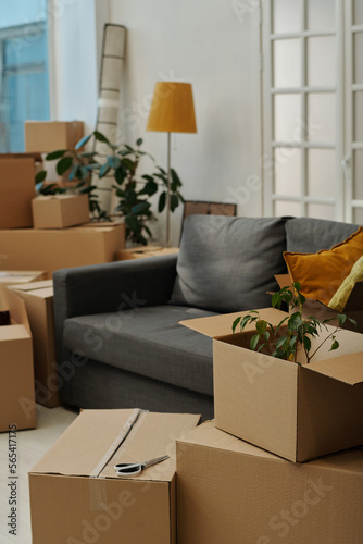Vertical image of flat with cardboard boxes everywhere preparing for moving