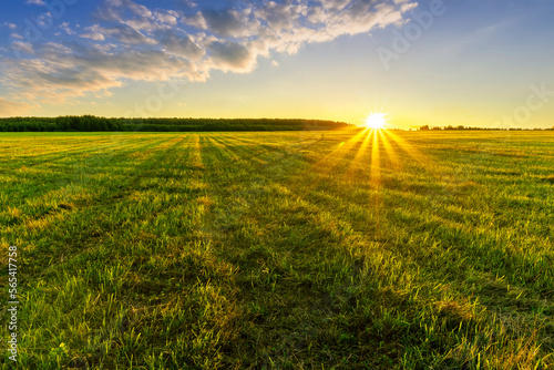 Scenic view at beautiful spring sunset in a green shiny field with green grass and golden sun rays  cloudy sky on a background  forest and country road  summer valley landscape