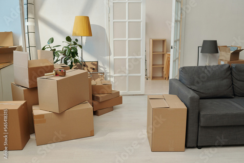 Horizontal image of modern apartment with packed boxes for moving to a new house © AnnaStills