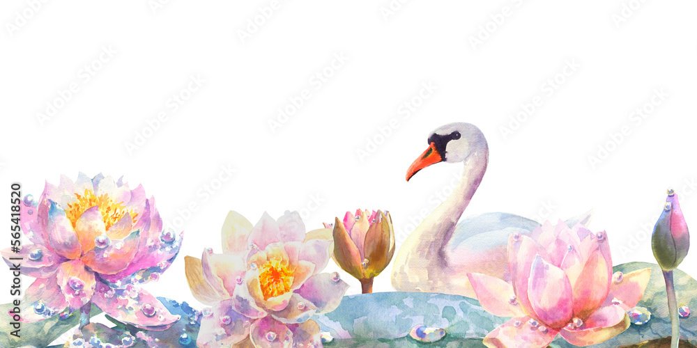 Obraz premium Water lily with swan. Greeting card with watercolor wild flowers on a white background. Lotus. illustration. Use for scrapbooking, Invitations, books and journals, decoupage