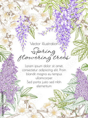 Vector illustration of a flowering tree. Cherry blossom, wisteria, lilac in engraving style