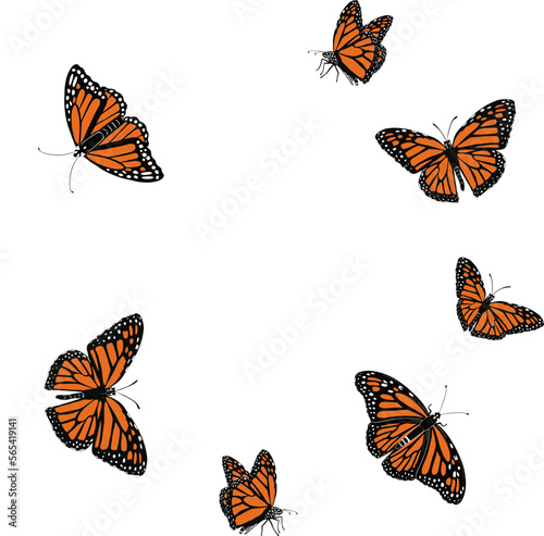 Butterfly Vector
