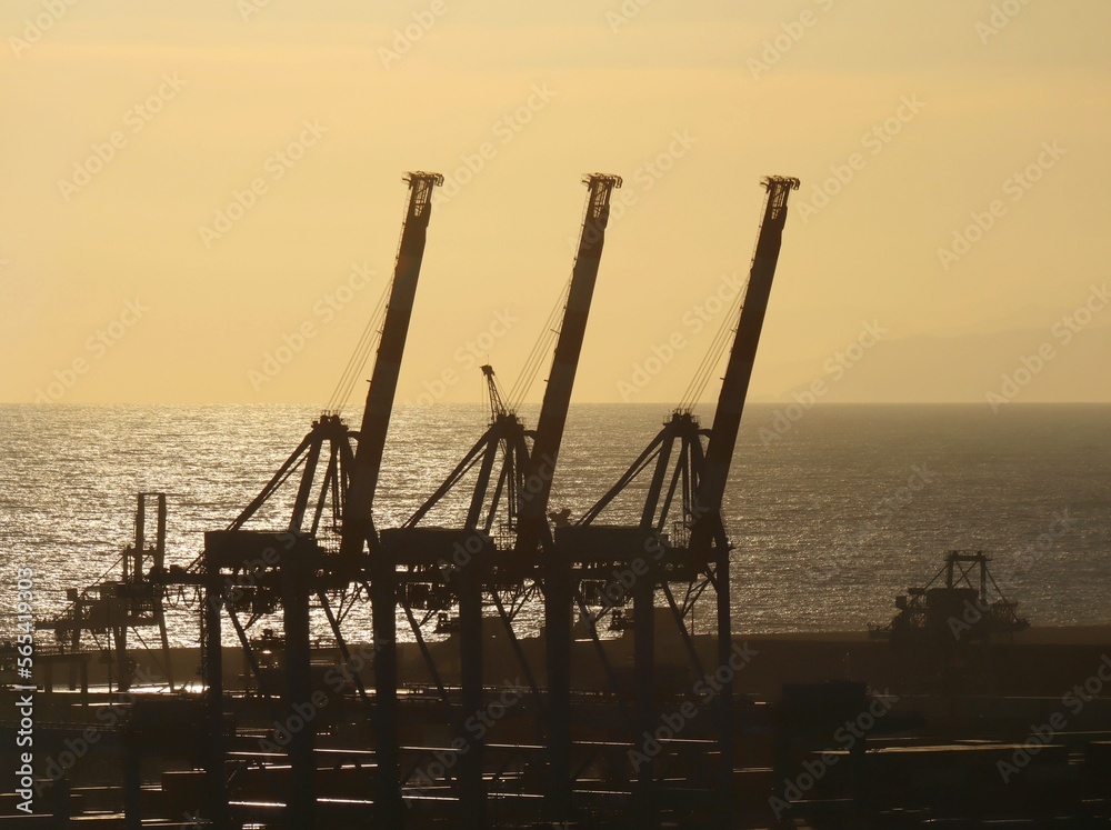 Obraz premium sunset in the port