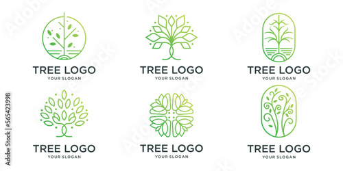 minimalist tree logo set template. collection of tree line concept inspiration logotype.