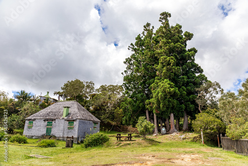 Salazie, Reunion Island - Gite of Belouve