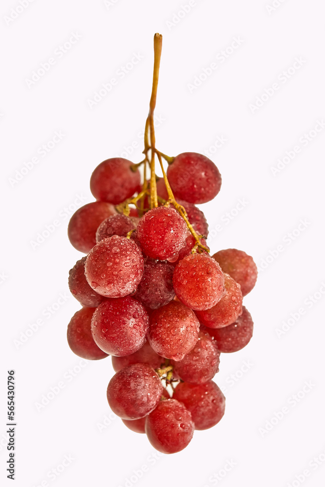 Fototapeta premium racimo de uvas