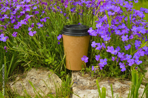 A mock-up of a paper cup for coffee or tea against a background aubrietta's purple flowers photo