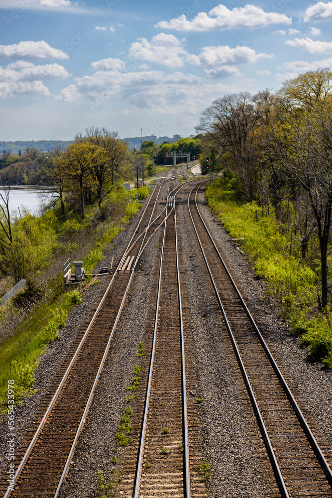 Fototapeta premium railroad tracks in the countryside