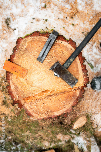 Fototapeta Wedges and a hammer lying on a stump of a felled tree.