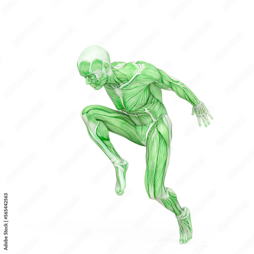 average man muscle maps is doing a parkour pose number fourteen average man muscle maps is doing a parkour pose number fourteen