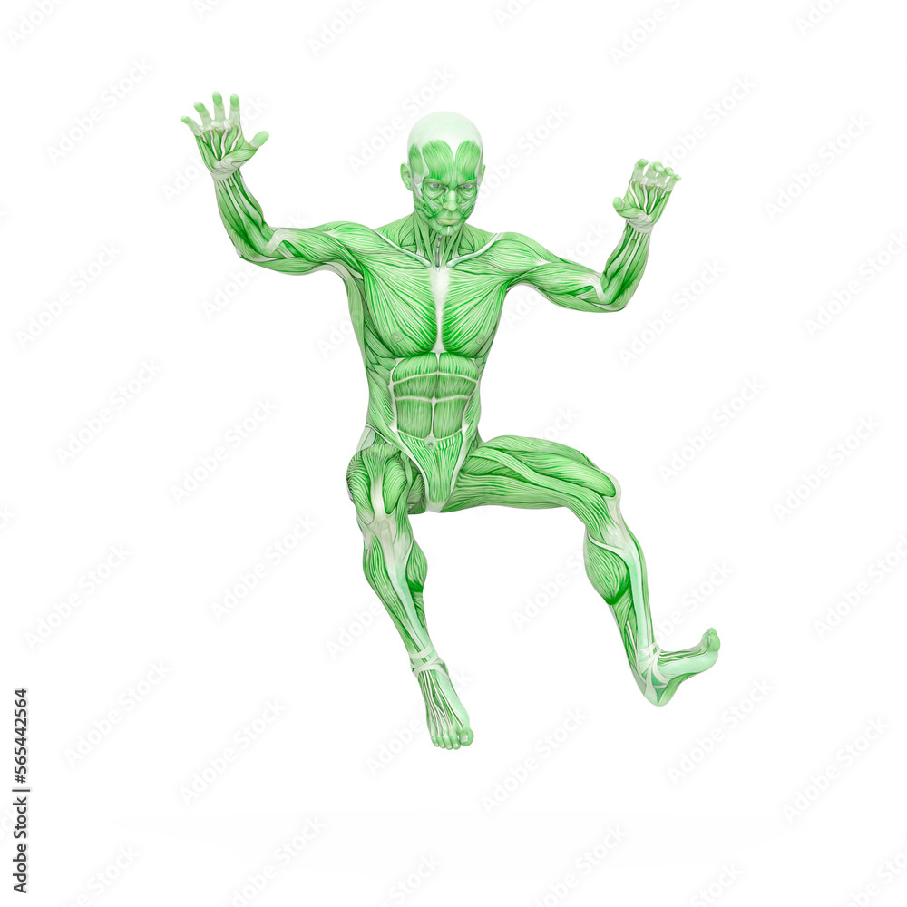 average man muscle maps is doing a parkour pose number nine average man muscle maps is doing a parkour pose number nine