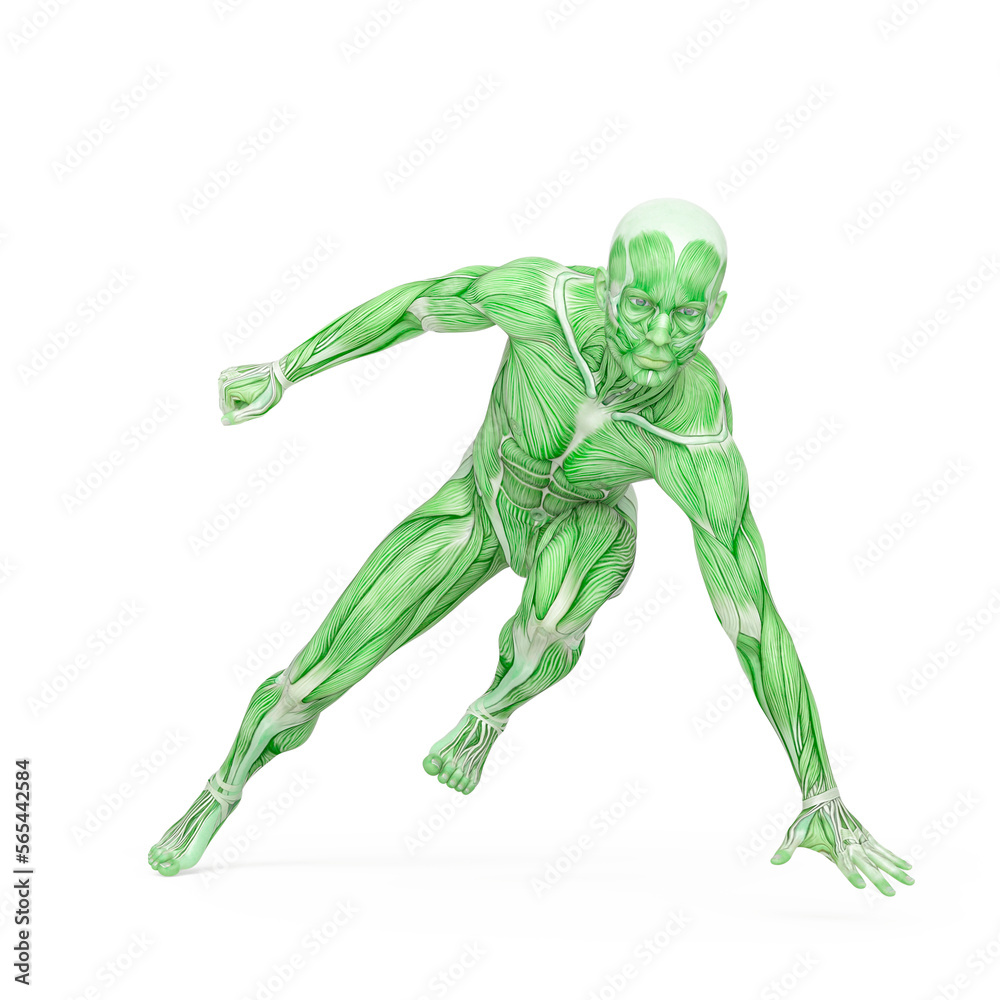 average man muscle maps is doing a parkour pose number seven average man muscle maps is doing a parkour pose number seven