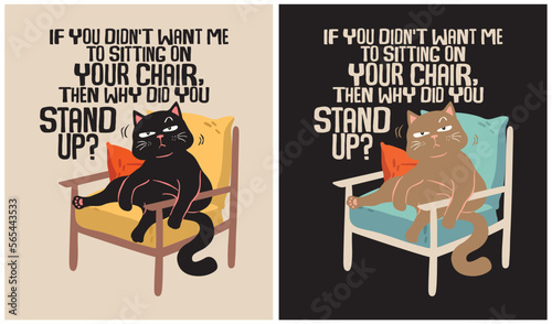 Cat sitting on chair - Cat Lover