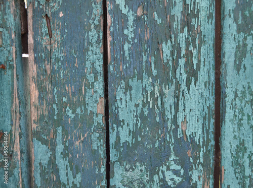 Natural wooden textured background.Old fence.Background for ceramic tiles design © Feoktistova