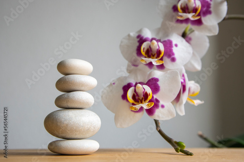 Stack of bright white stones built in tower isolated on white background with white purple orchid flower on long stem