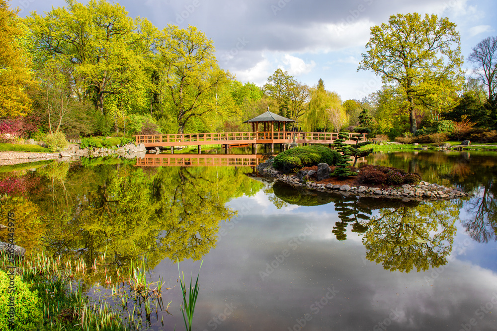 Idyllic spring landscape on the pond, bridge and decorative island in the Japanese garden in Wroclaw