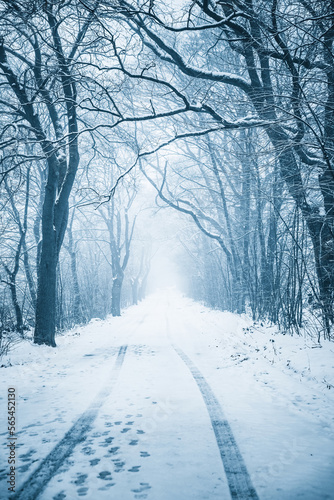 Winter wonderland in Bad Harzburg, Harz mountains, Germany © FoeRodensPhotography