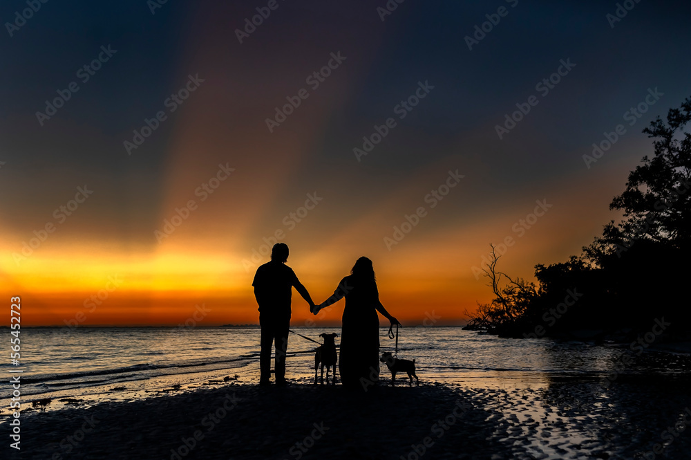 Fototapeta premium Couple walking with dogs by the ocean on the beach during sunset
