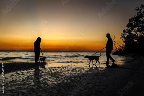 Photography Couple walking with dogs by the ocean on the beach during sunset