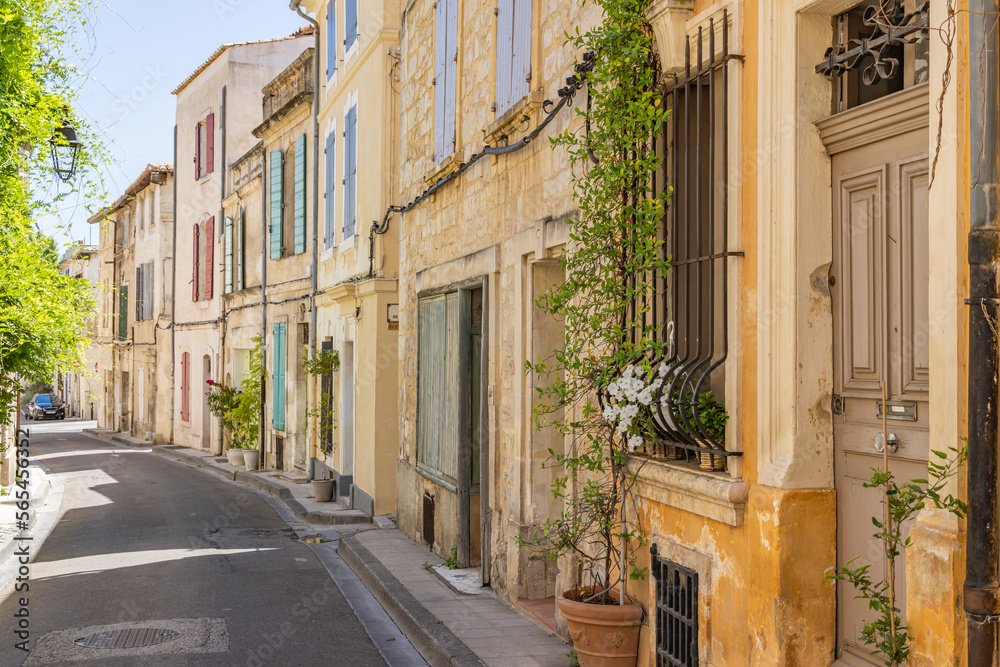 Fototapeta premium Potted plants along a street in Arles.