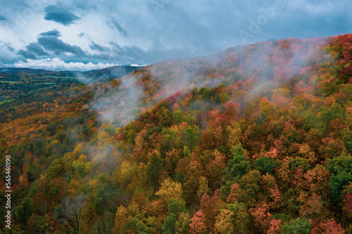 Vermont Foliage © Phamous Philmz