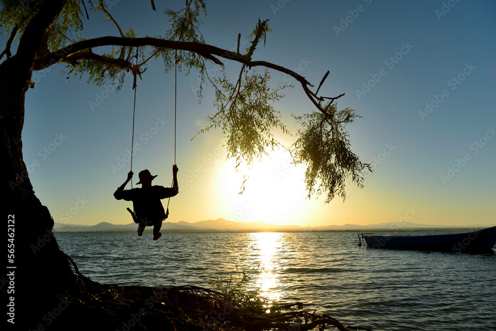 happiness and pleasure of the man swinging on the swing Stock Photo | Adobe  Stock