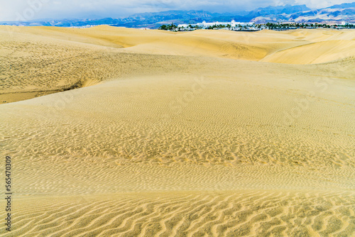 Dunes of Maspalomas in Gran Canaria  Canary Islands  Spain.