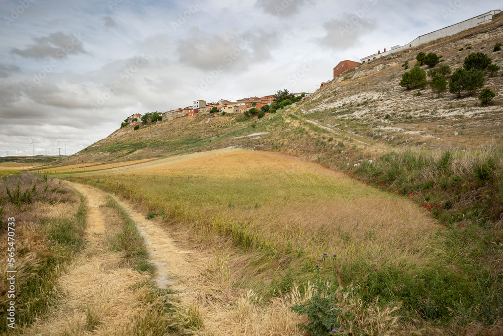 rural path through agricultural fields with a view to Peñaflor de Hornija, Valladolid, Castile and Leon, Spain rural path through agricultural fields with a view to Peñaflor de Hornija, Valladolid, Castile and Leon, Spain