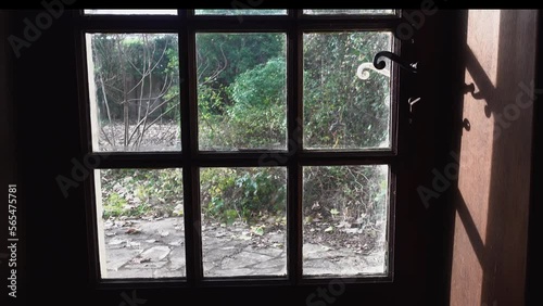 Rural scene with cat looking from outside through window and willing to get inside the house