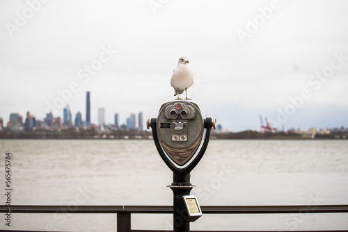 Photography Telescope view of New York Skyline with a bird