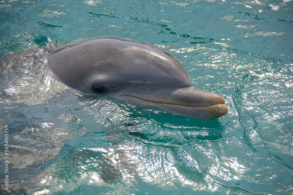 Obraz premium BAHAMAS PANORAMIC TURISTIC