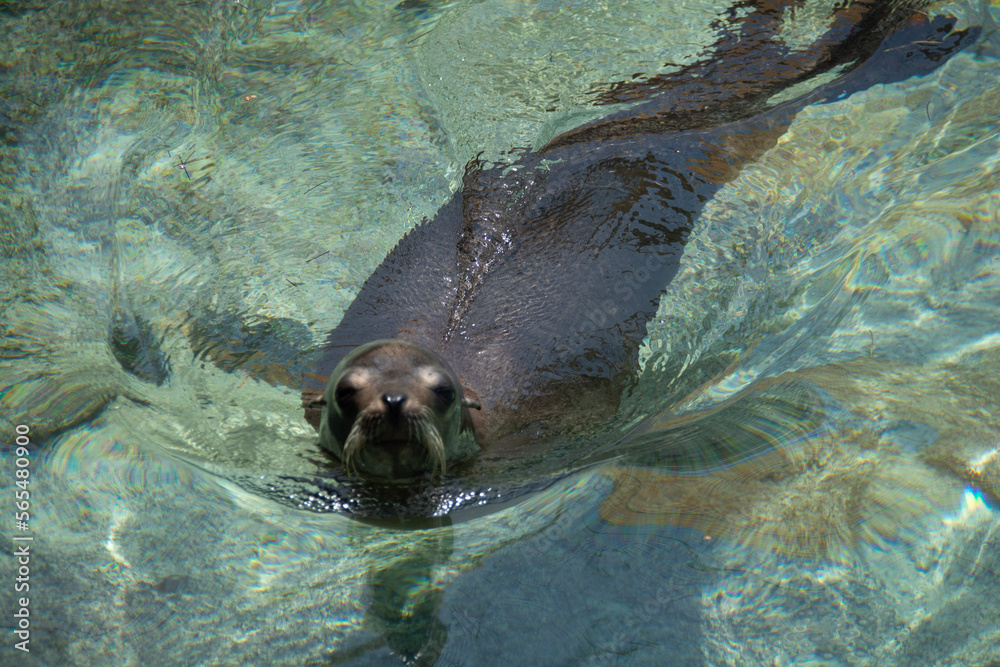 Obraz premium BAHAMAS PANORAMIC TURISTIC