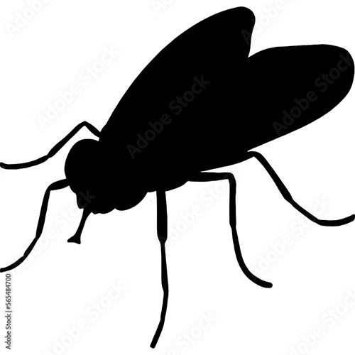 illustration of fly insect flying flies silhouette vector transparent background 