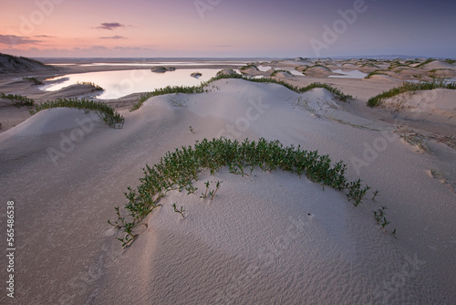 Southern part of the islnd when sand is forming a new landscape,  Fraser Island, Australia. photo