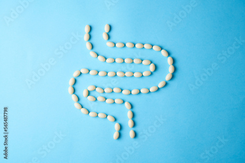 Probiotic and lactobacillus supplement pills forming a human intestine. photo
